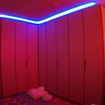 I Apartament Bolonia